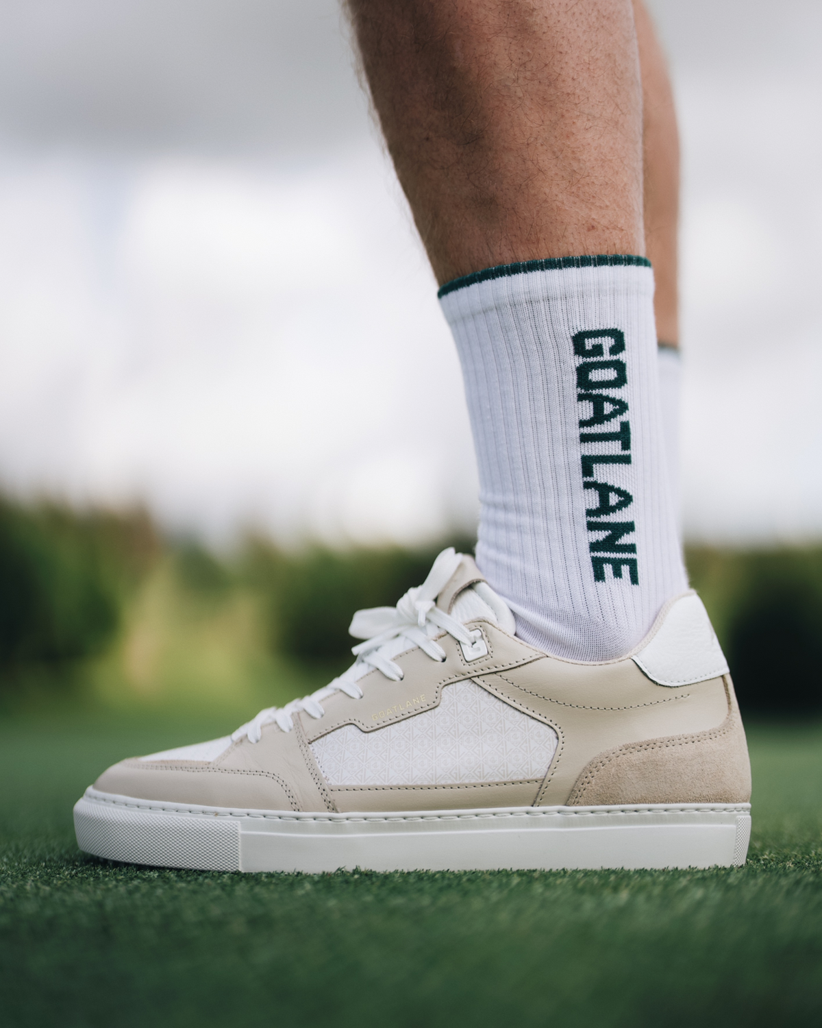 Goat Signature Socks